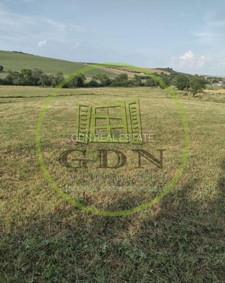 Teren extravilan 2000 mp,spre vanzare- Rusciori-5km  -Autostrada - 4