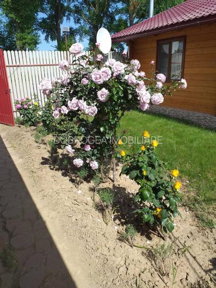 HORIA - 3 CAMERE ,SUPRAFATA 100 MP,TEREN 3000 MP CU DESCHIDERE LA LAC - 16