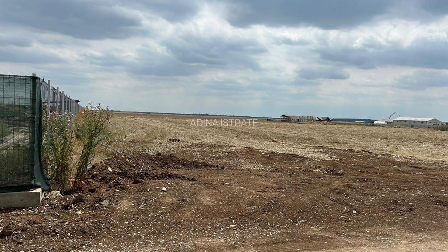 Vânzare teren intravilan Balotești – 5 loturi disponibile, langa Zotic Residence - 3