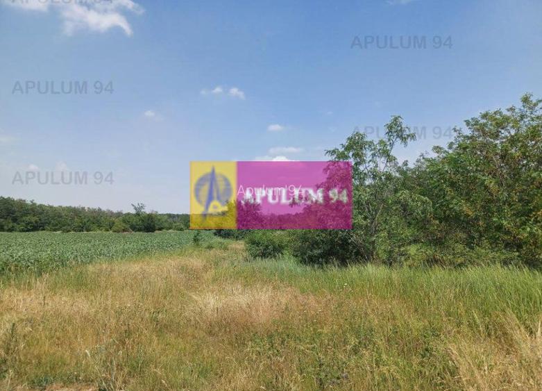 Săbăreni, teren 12620 mp pentru case, lângă pădure - 2