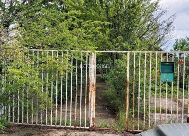 Teren la 35 km de Bucuresti - Izvorani - Ciolpani - 10