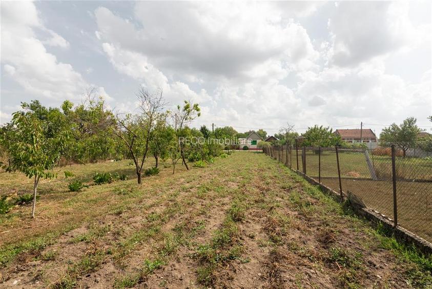Teren mare cu 2 case si front la 2 strazi in Tamaseu - 31