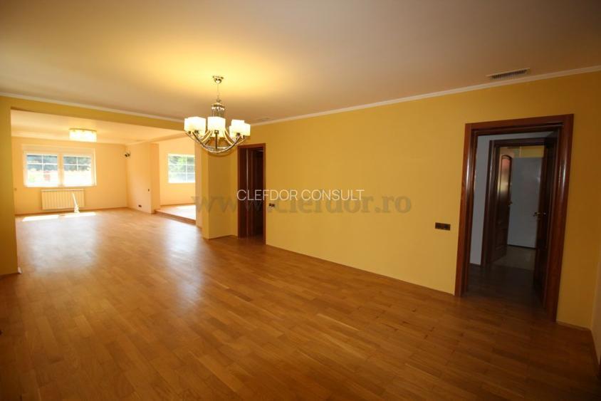 Vila Individuala de Inchiriat in Zona Iancu Nicolae - 3