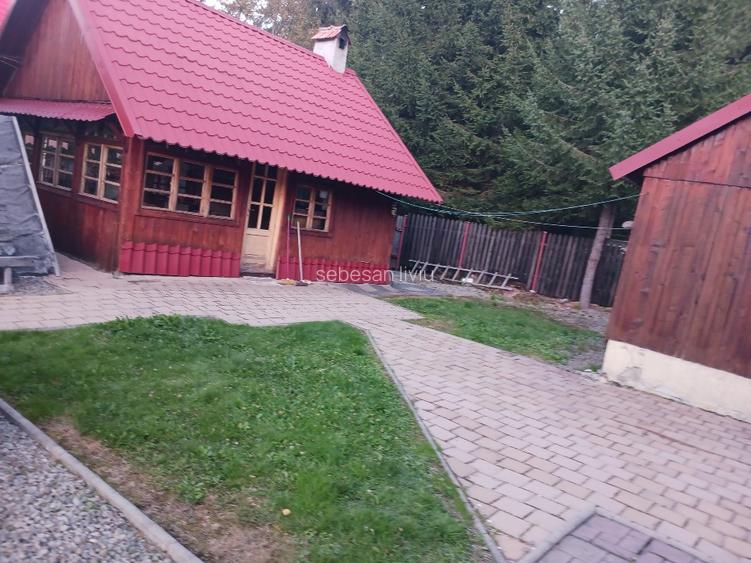 CASA DE VACANTA LA DOMENIUL SCHIABIL SUREANU LUNCILE PRIGOANEI - 6