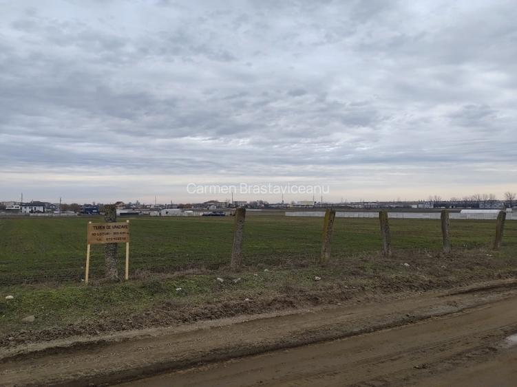 Teren de vanzare pentru case/ parcele- Caracal, str. Artarului - 4