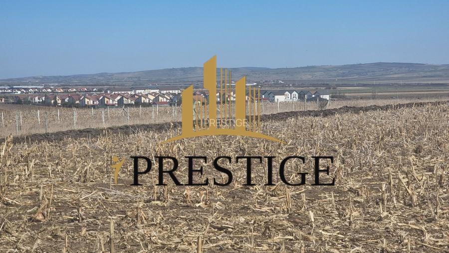 Teren dezvoltare ansamblu rezidențial Șura Mică Sibiu| PUZ | 16 loturi - 4