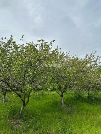 Vând teren intravilan stradal , posibilitate  parcelare  - 16