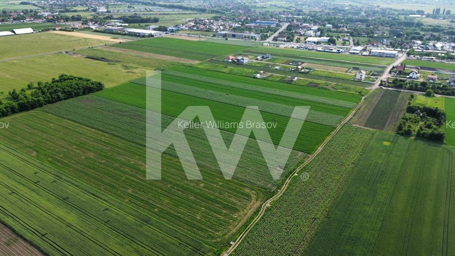 Teren intravilan 17.240 mp Stupini, str. Baciului-Luncii - 4