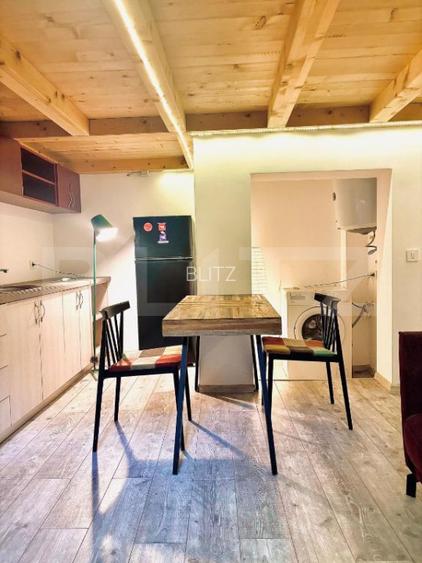 9 Apartamente, 2 camere, ultracentral - Investitie  - 3