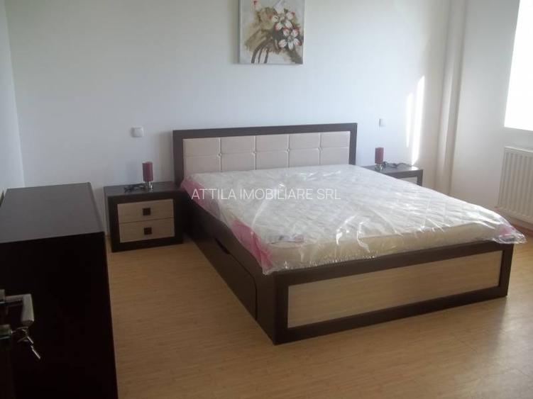 Dumbravita 2 camere 350 euro - 5