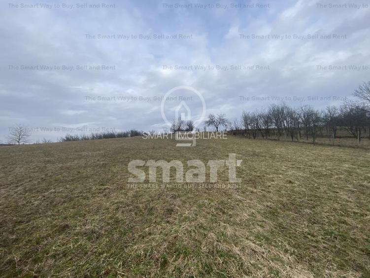 Teren intravilan cu CF 5400mp front 17 Savadisla jud Cluj - 10