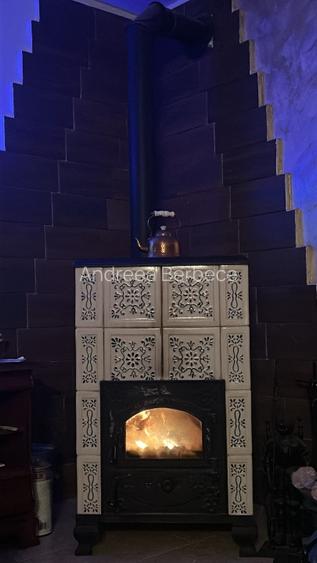 Vând Casă cu ieșire directa la lacul Snagov - 11