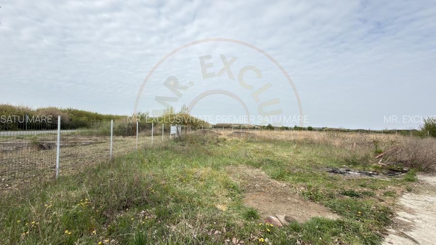 Teren Intravilan 1300 mp / Extravilan 3.700 mp/ DJ 196B Carei (DN 1F) – Foieni - 3