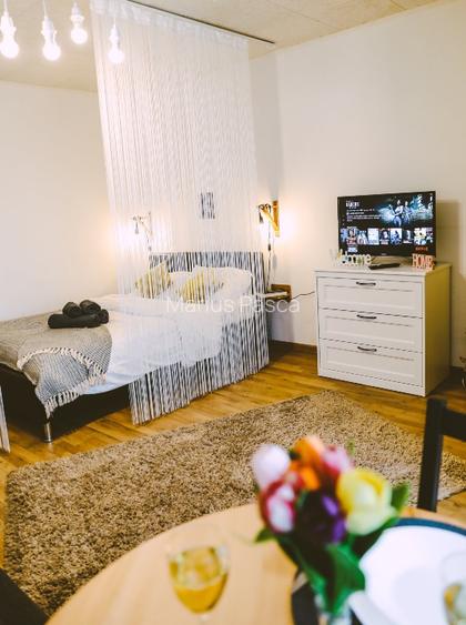 PROPRIETAR-Vând GARSONIERĂ la cheie, 28 mp, BIG Mănăștur Cluj-preluare chiriasi - 2