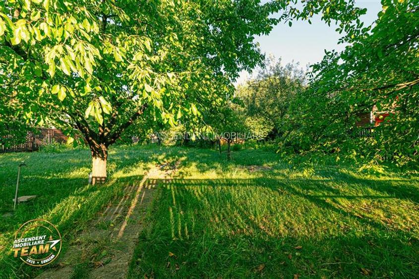 FILM! Casuta cu peste 800mp teren, areal estimabil, Lenin, Sfantu Gheorghe - 9