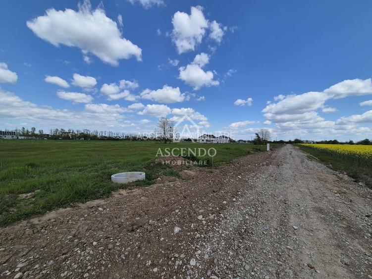 Teren intravilan 704 mp – Siliștea Snagovului | Lângă Pădurea Snagov - 2