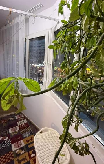 PANTELIMON, LANGA MEGA MALL, - 16