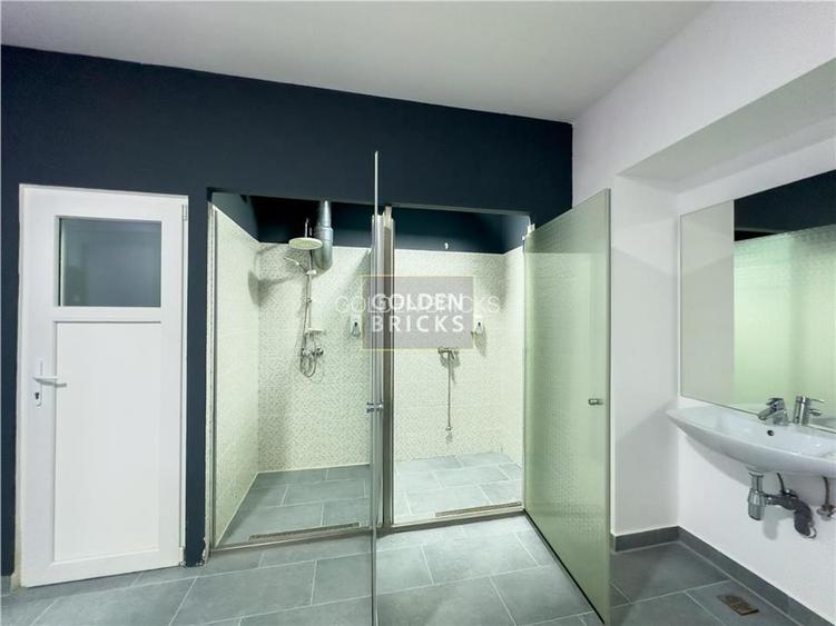 Banu Manta | Piata Victoriei | 230mp | open space - 3