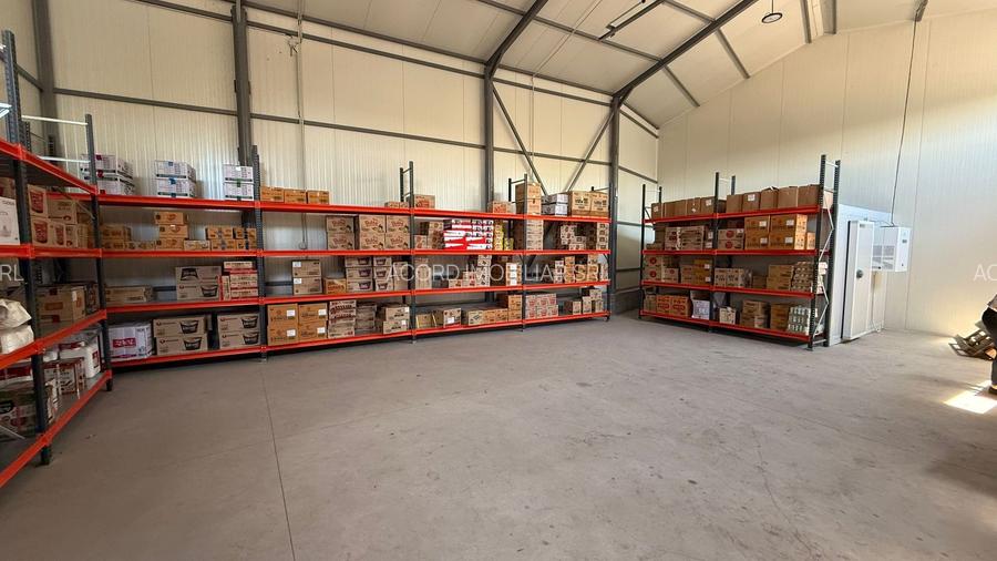 Zona industriala Hala Noua,ideala depozitare zona logistica. - 7
