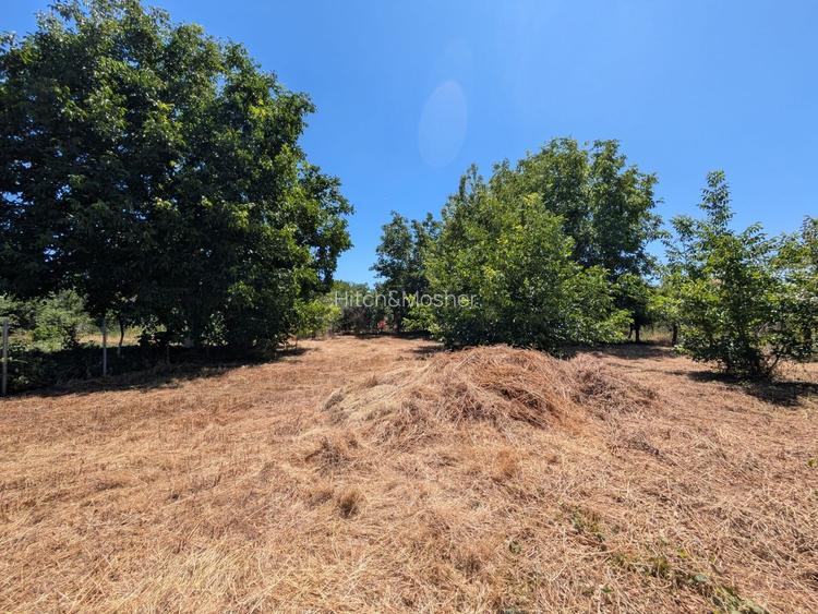 Casa cu teren de 1511 mp - Ortisoara - Comision 0% - 6