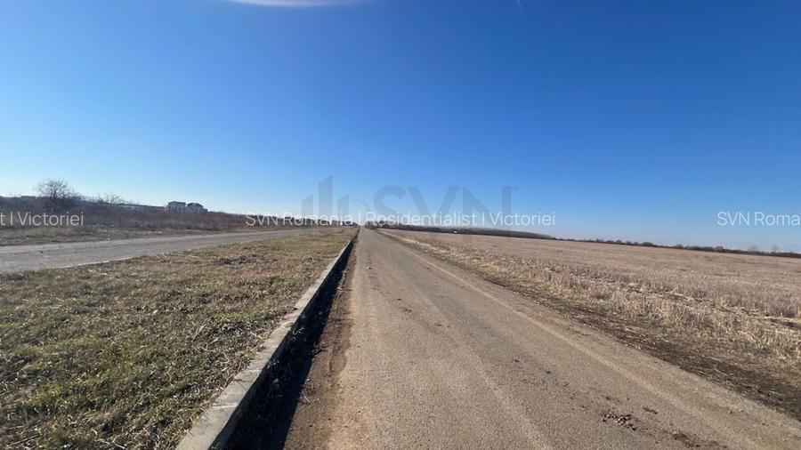 REL4000892 Corbeana - Ostratu 15200 mp langa padure - 4