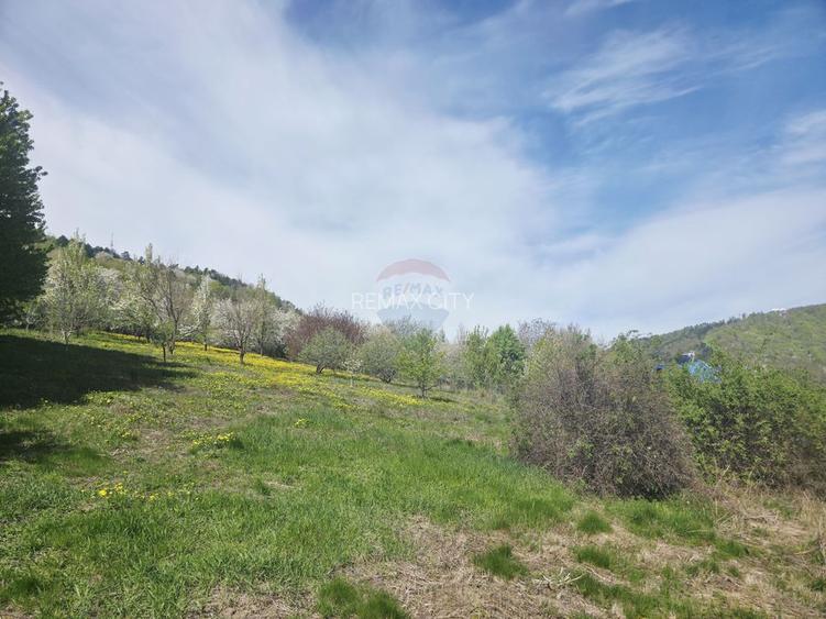Teren 1,000mp Piatra-Neamt / Zona Fermelor - 4