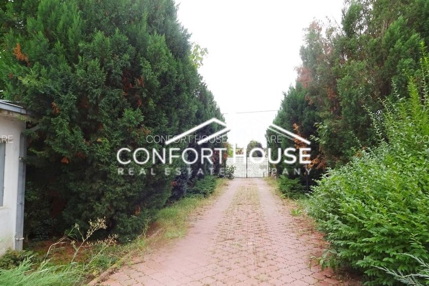 Proprietate impresionanta D+P+M, teren 4781MP, IANCU NICOLAE - 28