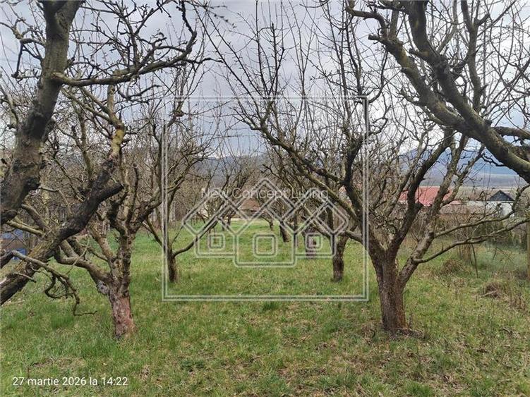 Casa si teren de vanzare in Sacel - 1355 mp teren - livada - Central - 6