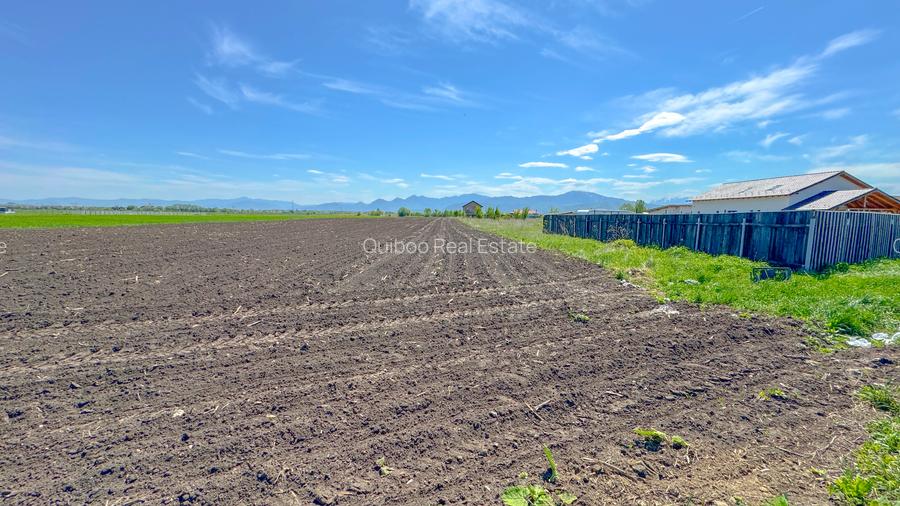 Teren intravilan, 1.7 hectare, Stupini Strada Barsei - 8