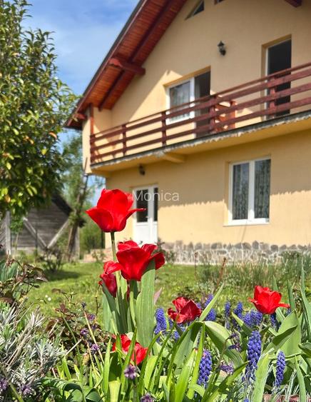 Casa de vanzare Ocna Sgatag - 4