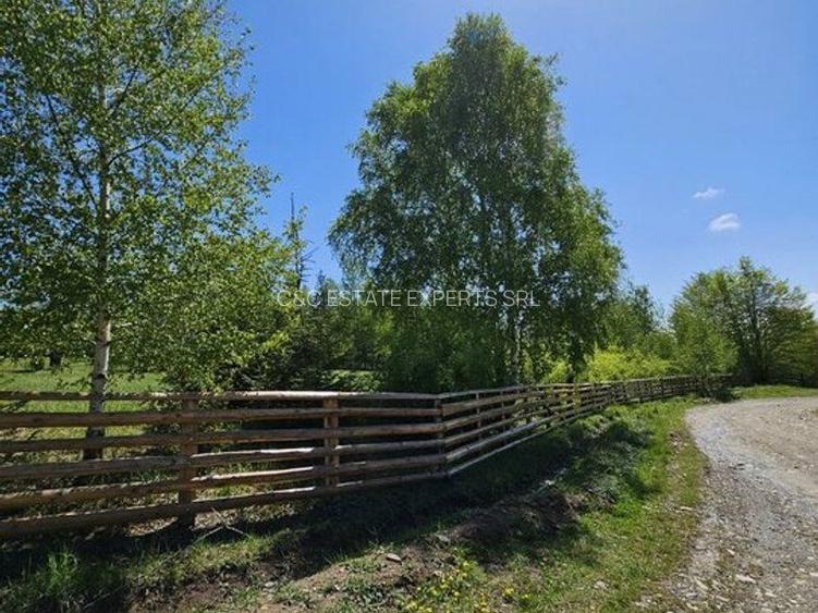 Pensiune in jud. Buzau, loc Ivanetu| Constructie lemn|Pozitionare impresionanta - 55