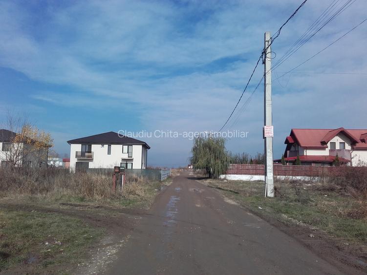 Domnesti-Ilfov,Str. Radului-Mimozei,teren constructii-case-vile cu uttilitati - 2