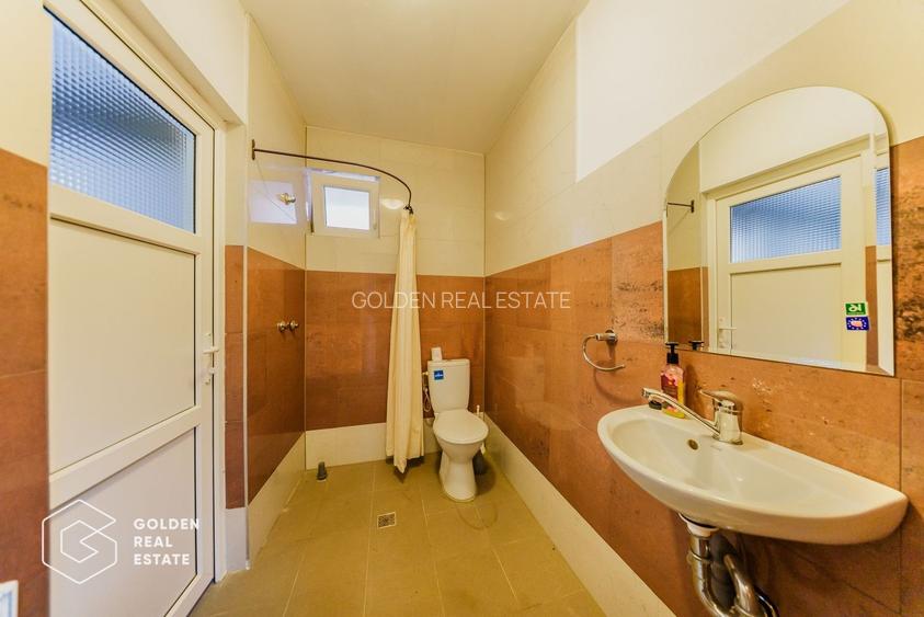 Proprietate pretabila pentru afacere, Cladova - 22