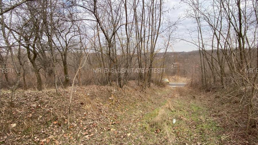 Teren cu panorama superba + padure Albota  Gura Văii  Arges - 2