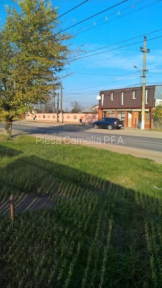 BUTIMANU - DN1A, CASA + TEREN 5000MP, DESCHIDERE 28 MP, - 12