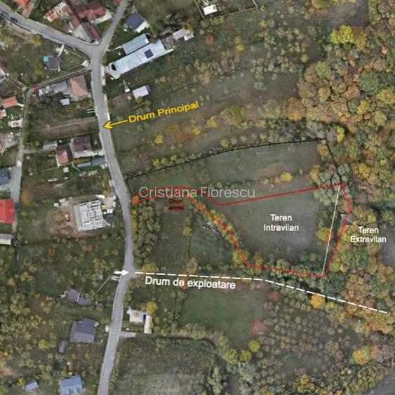 Teren 3.800 mp | Pucioasa, Dâmbovița | Natură, liniște și acces dublu - 6