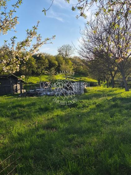 Teren intravilan 1000 mp-ideal casa-Ghinda - 2