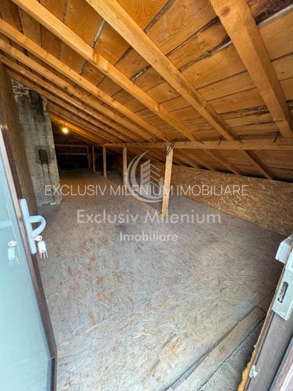 Casa Birouri Parcul Circului - Lizeanu - 13