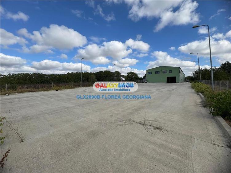 Vanzare spatiu industrial Crevedia - 3