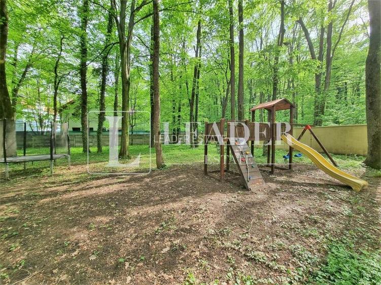 Traieste in Padurea Baneasa I 4cam I 338 MP - 17