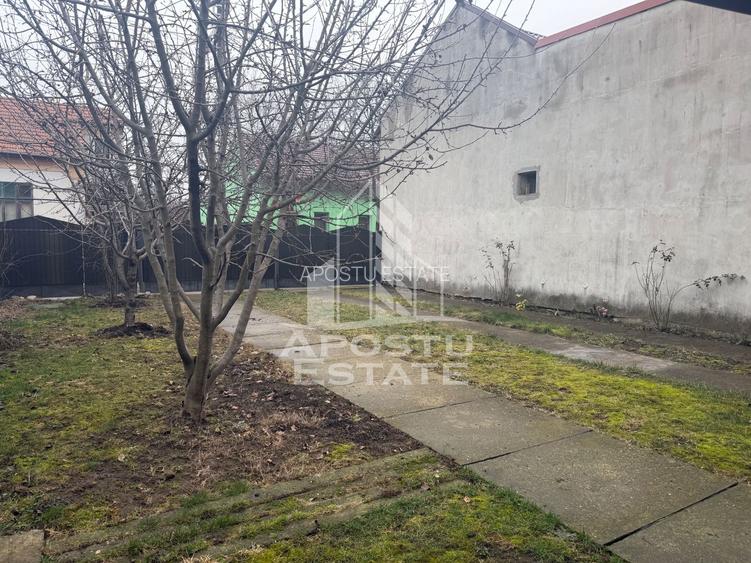 Casă individuală , centrală proprie Pet friendly , Sagului- Timisoara - 10