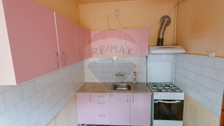 CASA + Casuta - DE VANZARE in Baia Sprie - 14