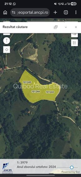 Refugiu de poveste în inima naturii | 12.000 mp în Holbav | Proiect început - 19