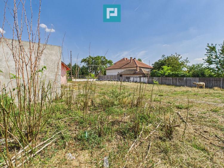 Casă/spațiu comercial pe DN79 în Zimandu Nou - 17