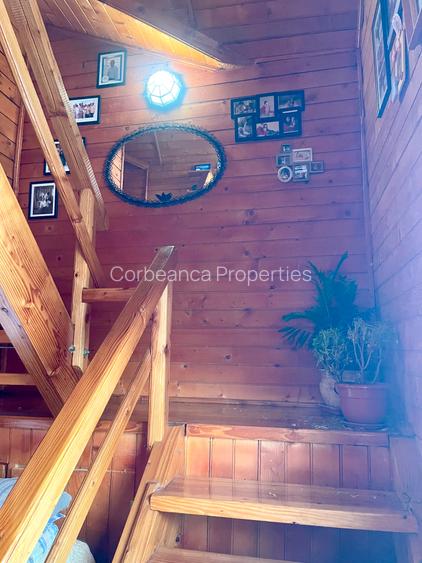 Inchiriem cabana in Calimanesti (Seaca), cu ponton la Olt, gradina - 10