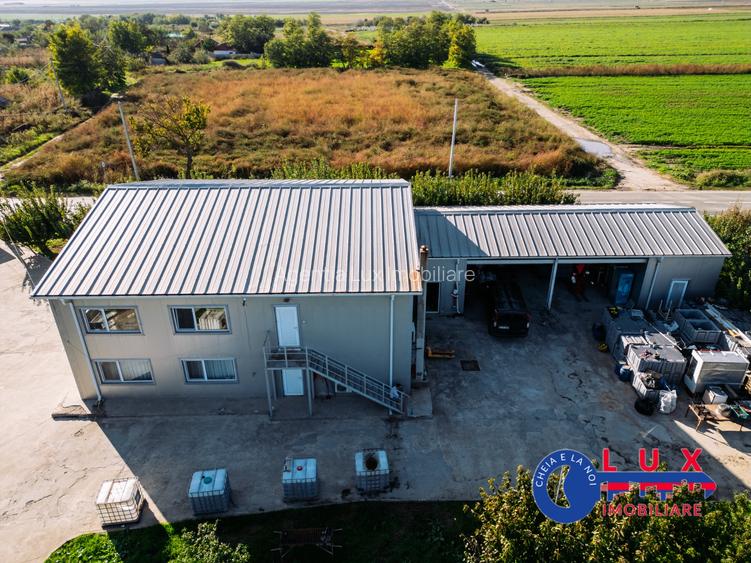 ID 7785 LIVADA SABANGIA DE VÂNZARE - 5