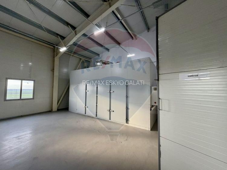Teren agricol 13,1 ha + Hală 700 mp + Utilaje Agricole - Piscu, Galati - 10