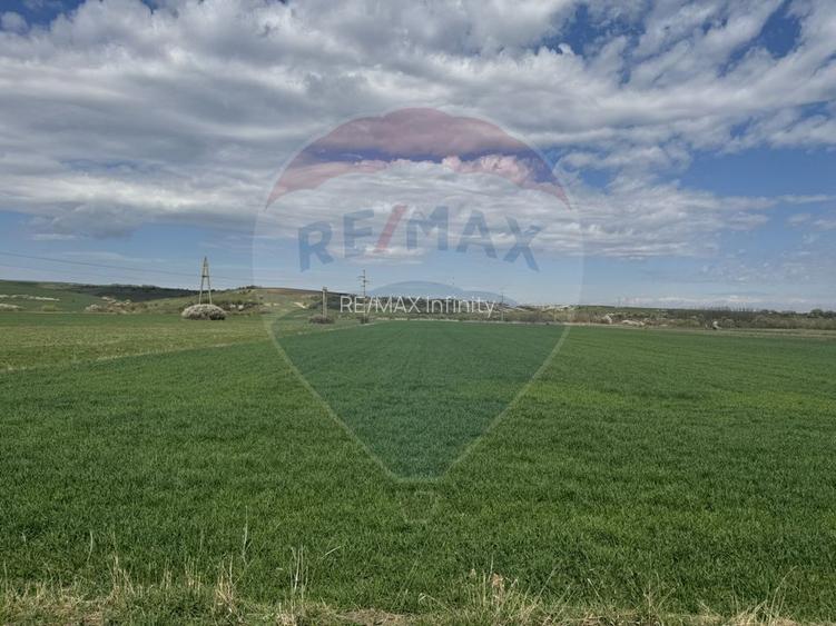 Teren cu potential industrial Luna de Jos, Dabaca - 12