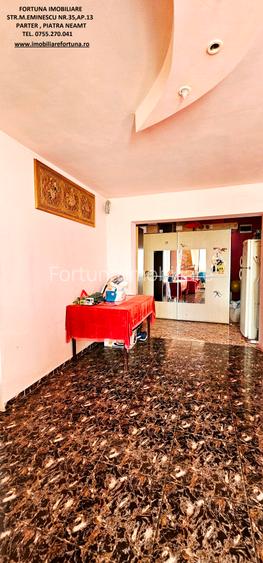 Casa individuala P+M,casa batraneasca locuibila si 805mp teren,Savinesti - 11