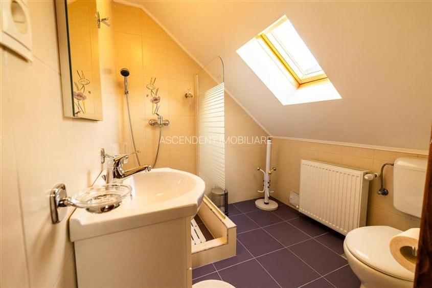 FILM! Investitie 2 in 1:Unitati independente +domeniu 1.742mp,aria Bran,Tohanita - 19